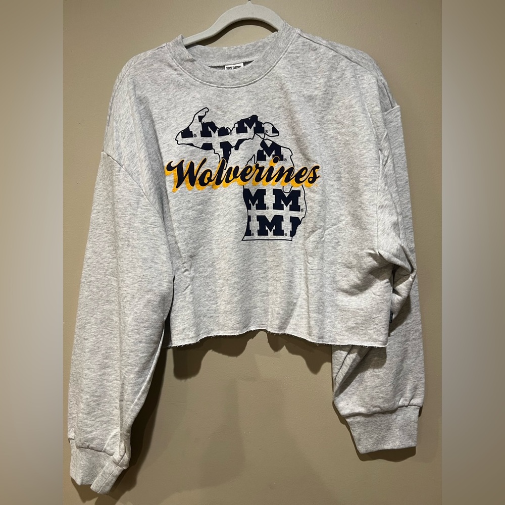 ✨VS PINK MICHIGAN WOLVERINES CROPPED CREWNECK✨